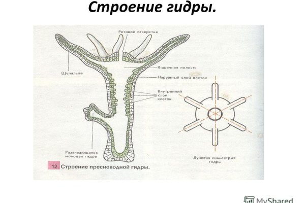 Черный рынок зайти