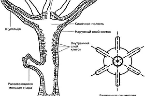 Официальный сайт блэк спрут blacksprut adress com