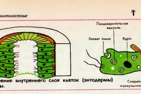 Открыть официальный сайт блэк спрут