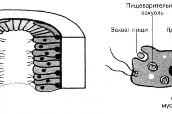 Как восстановить аккаунт блэк спрут blackprut com